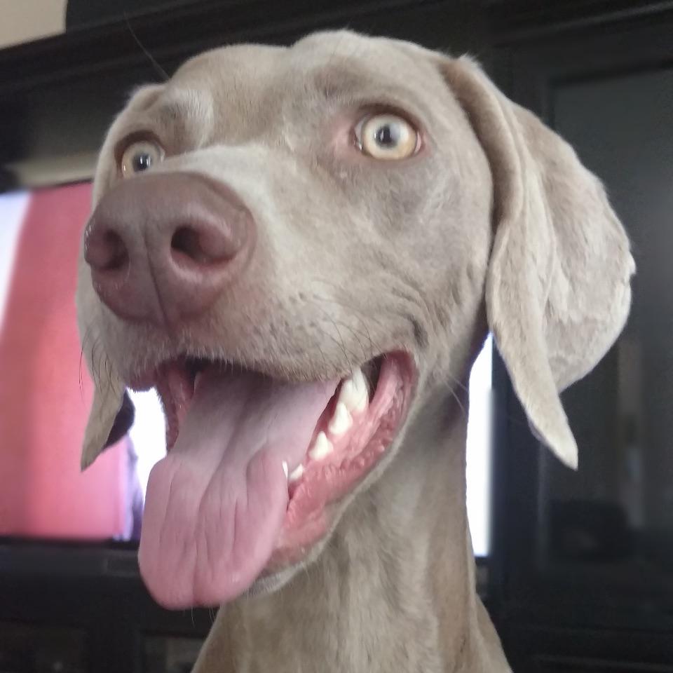 J