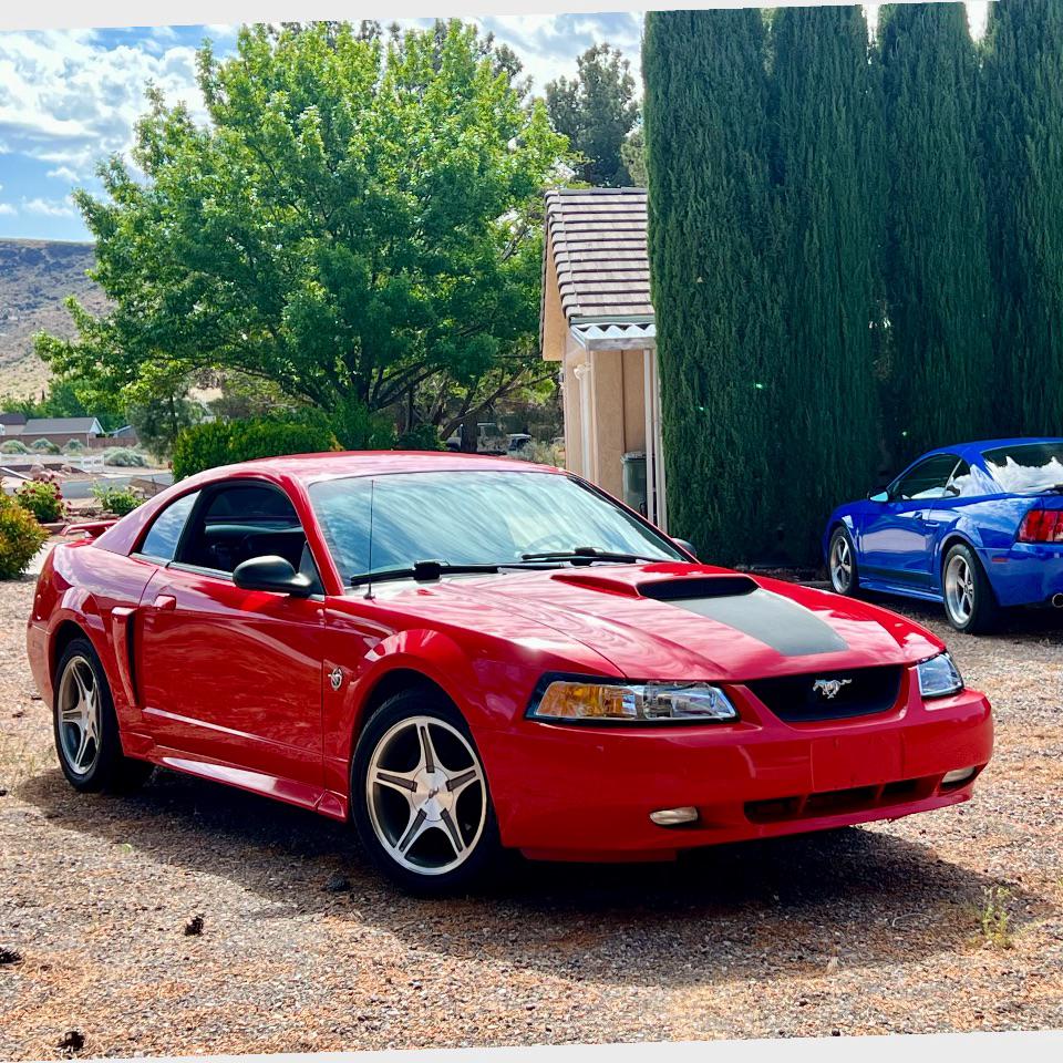 ZS