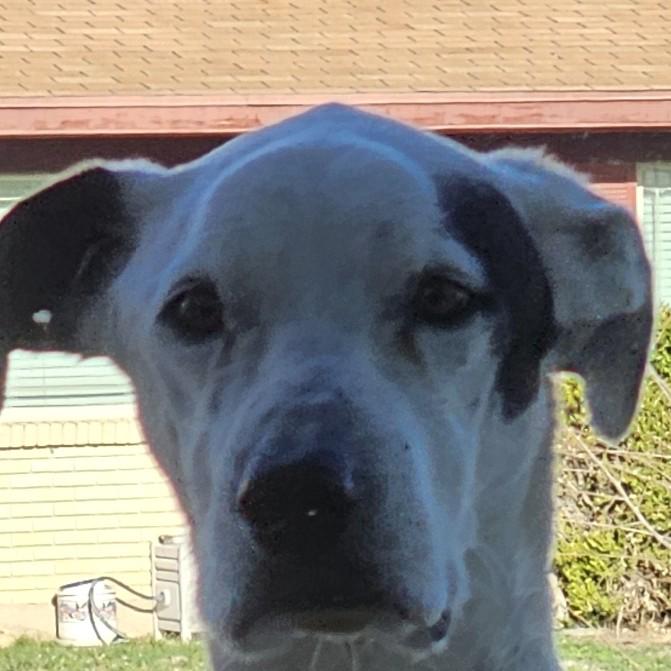 MO