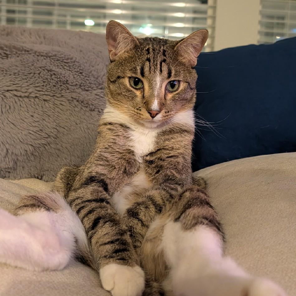 AJ