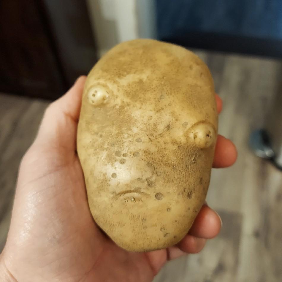 MR