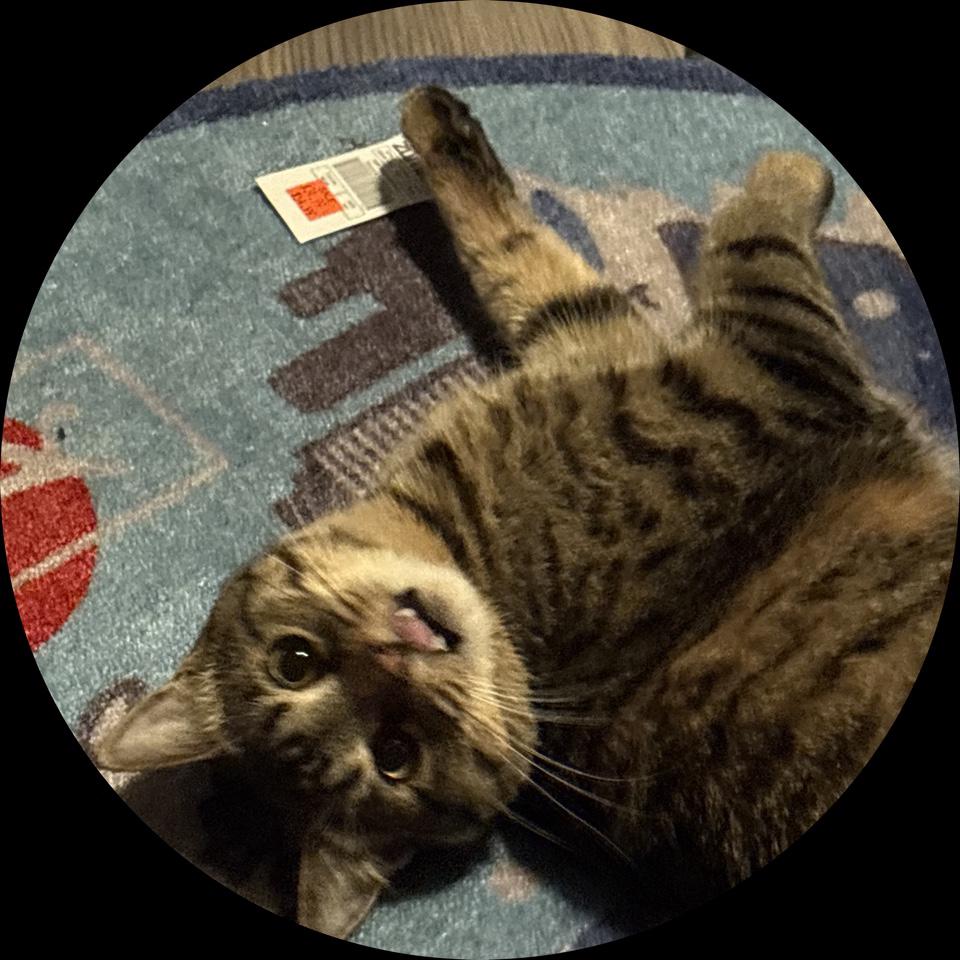 PM