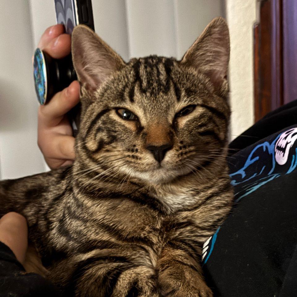DR