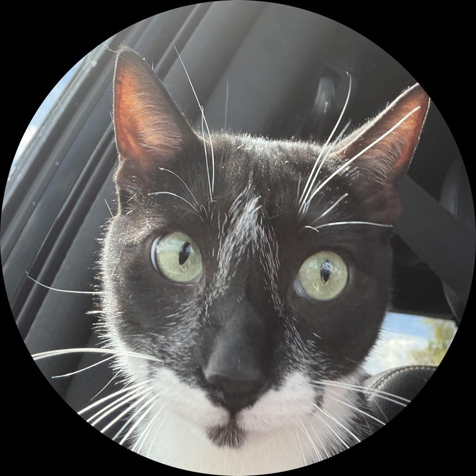 TJ