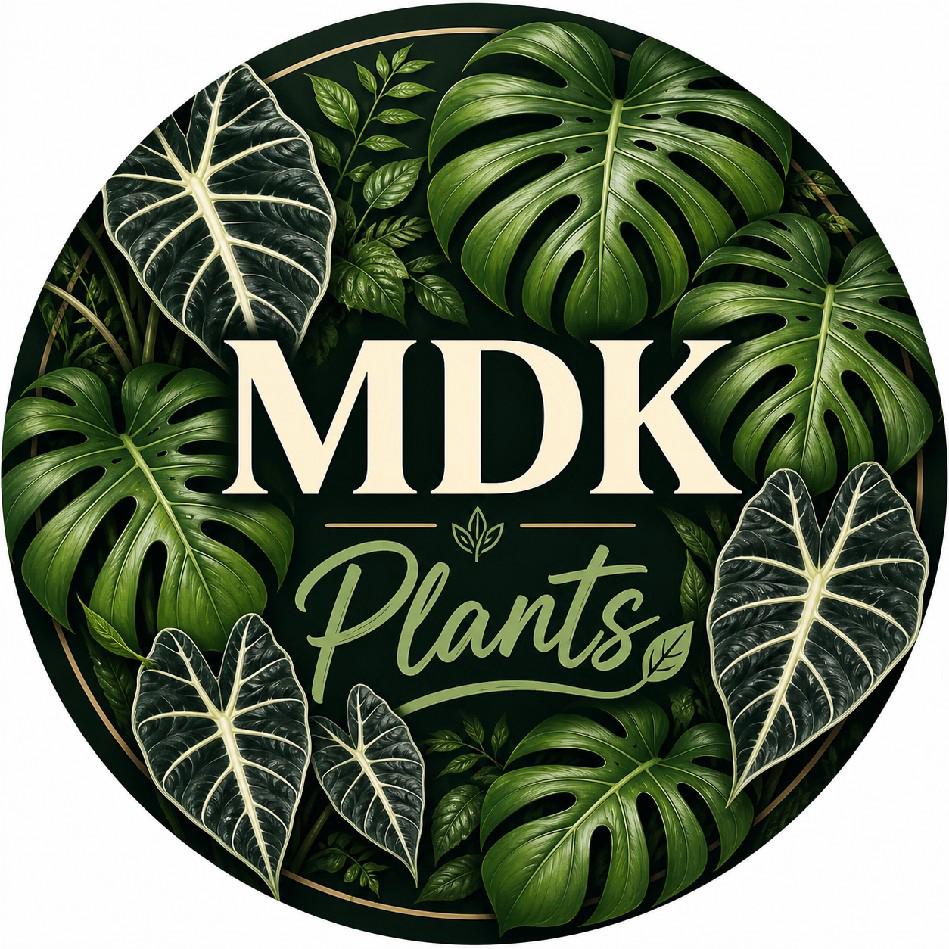 MK