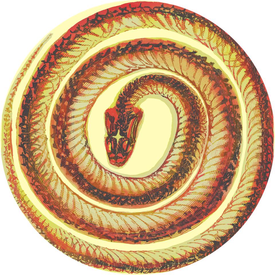 AR
