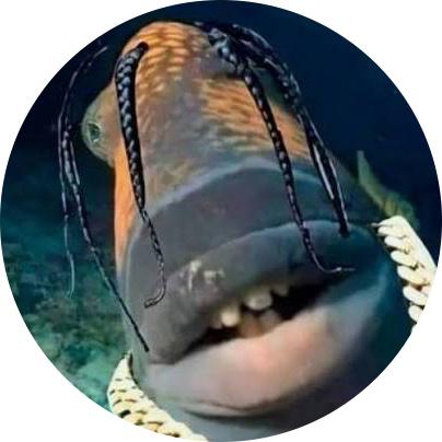 gm