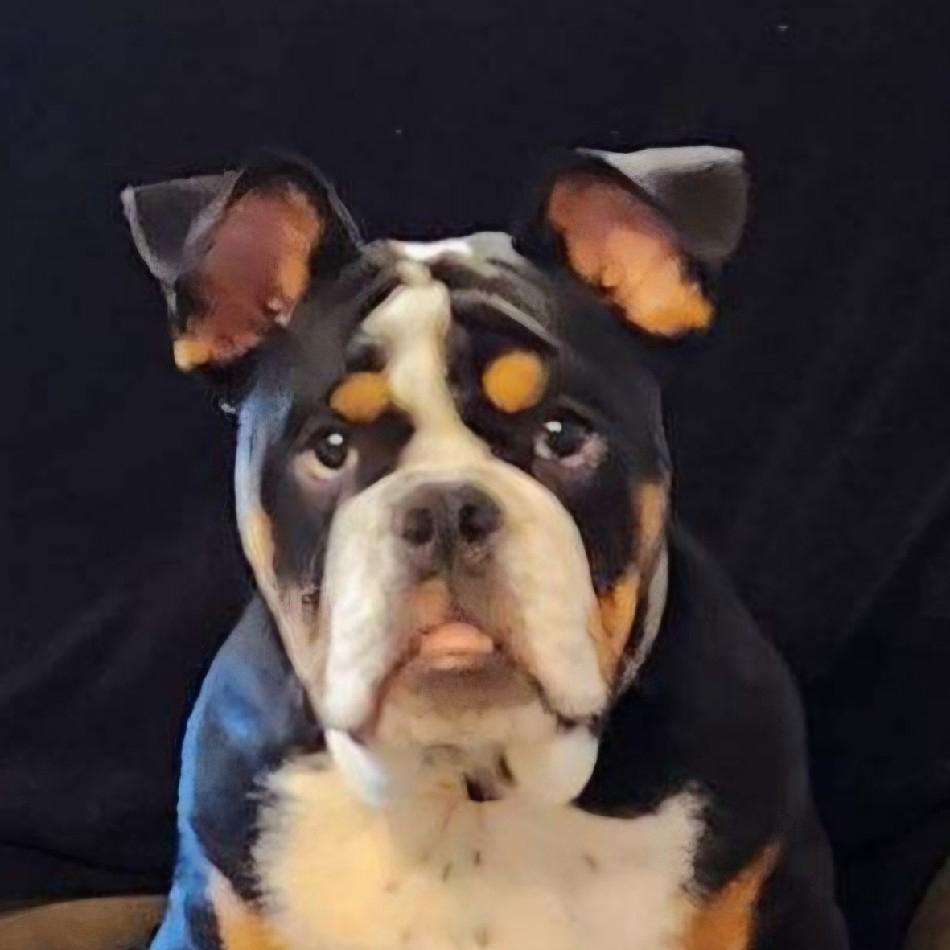 JH