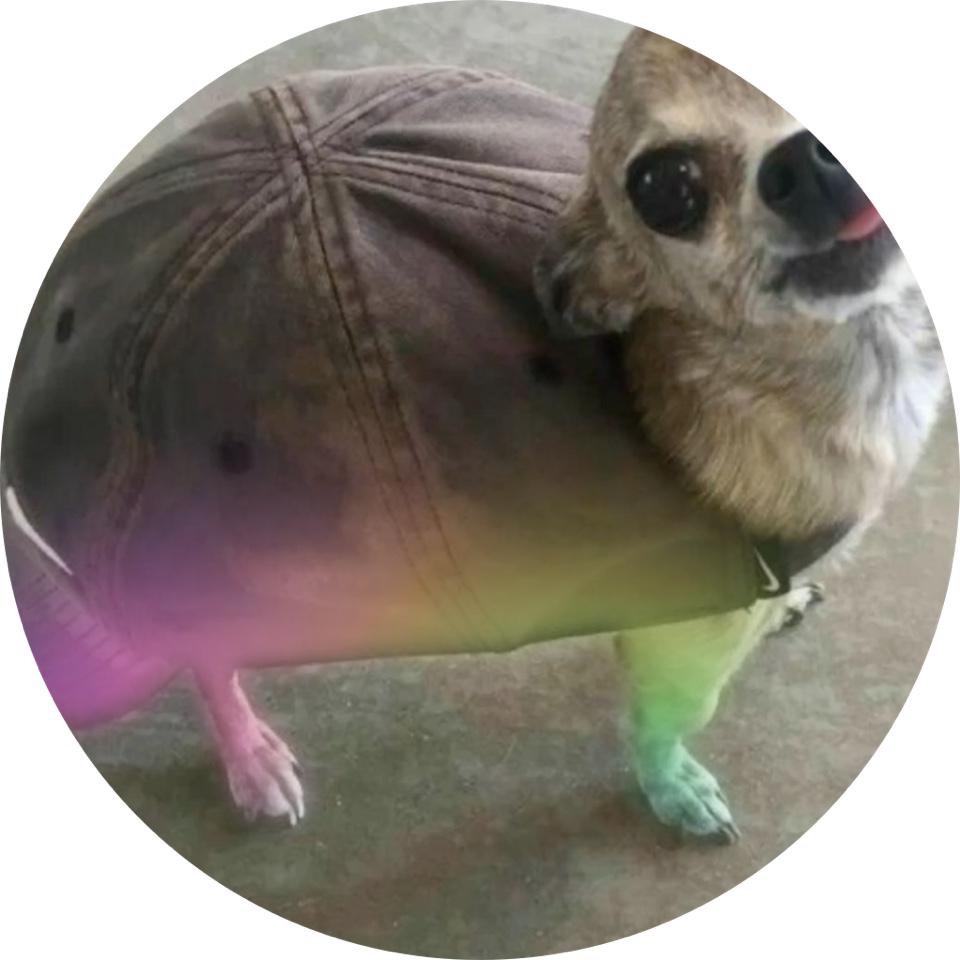 DG