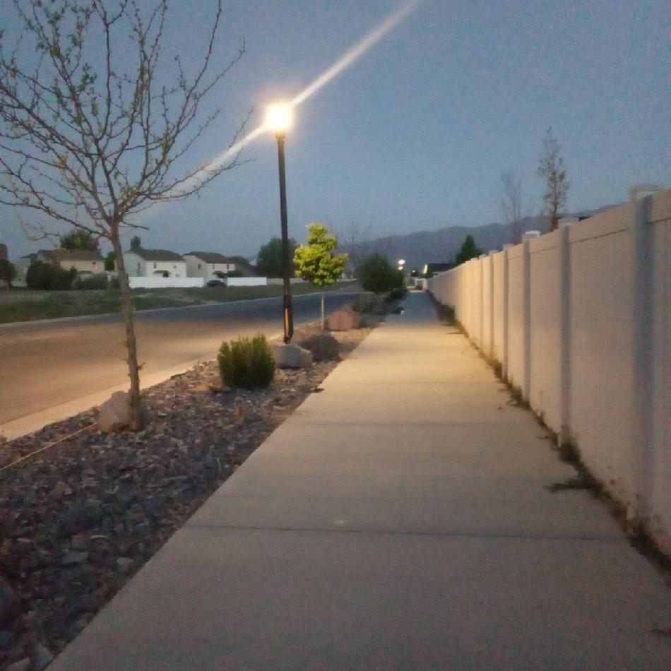 L